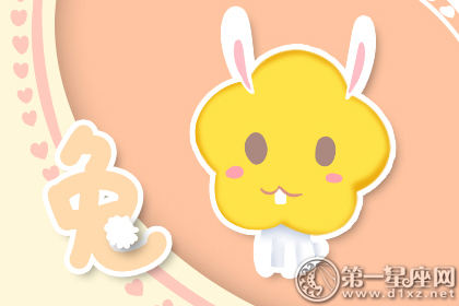 兔子 兔子错了2的原因