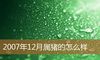 2007年12月属猪的怎么样