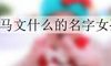 马文什么的名字女孩
