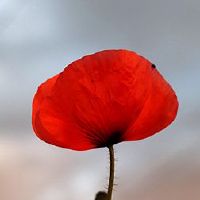 每天十天是什么时候?十倍时间