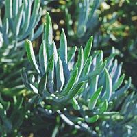 在2022年,关于第14个黄历有什么东西,你能开一家生意吗?