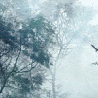 梦想的梦想是什么?