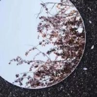 什么是夜晚?当你昂贵时仍然昂贵。