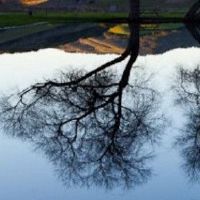 生活理解为什么手指昂贵