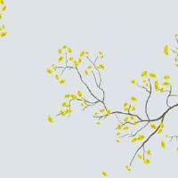 2022年正月初九剖腹产好不好 产后饮食注意要点