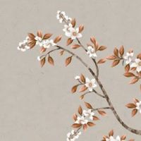 属猪人手机号9699好不好 生肖猪的吉利手机尾号