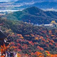 给你的孩子如何选择吉利聚集这个词