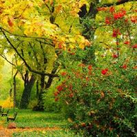 2022年,郑姓的名字是什么?