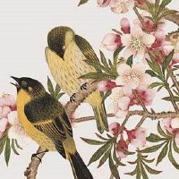 2022年正月初一是黄道吉日吗 开门炮仗寓意大吉