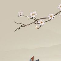 2022年正月初六五行穿衣 春节五行穿衣幸运色