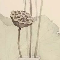 春节挂饰寓意:过年挂中国结的寓意