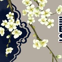 我可以在初期吃米饭吗?你今天吃什么?