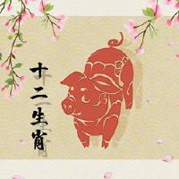 男性老鼠女是猪匹配吗?