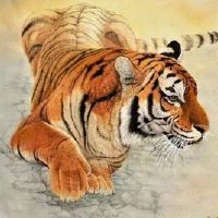 这是一只老虎吗?什么是性格特征?