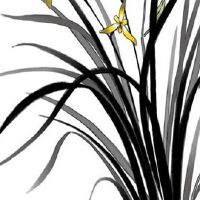 2022年属牛人全年每月运程 肖牛者2022年末财源广进