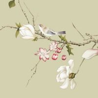 2022年5月29日生肖冲煞: 今日冲什么生肖