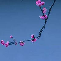 生肖对冲表:2022年6月8日属什么生肖冲什么属相