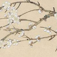 1981属鸡的婚姻和命运 婚后生活幸福美满