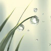 你可以在春天前一天回到母亲吗?