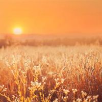 气田是强大的,最迷人的,注定要成为人们的三大星座,注定要成为人