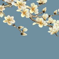 属猪人在2022年运势 生肖猪今年事业顺风顺水