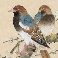 生肖猪2022年学业文昌运好不好 考运怎么样