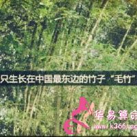 有多少人有,不超过三厘米