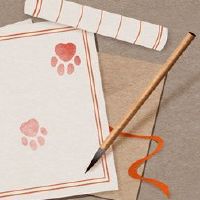 冷链公司名为Daquan免费2022家公司好名字