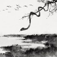 1977年,蛇在未来五年内有飙升的收入。