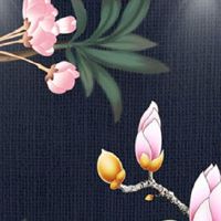 属龙交运时与什么属相相冲 最有效化解属相相冲方法