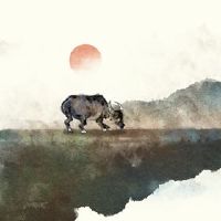 老虎年份的幸运是2022年的幸运的事情?