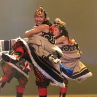 伤害的意义是什么,伤害官员的意义和交通工具