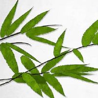 正月十五借钱给别人好吗怎么破 有破坏财运的说法