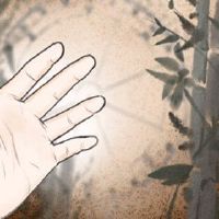 如何在手中获得健康健康的手