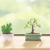 2022临时飞行明星冯水和卫生茶公飞的飞星图和裂缝