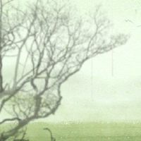 24种山谷yuetings是什么传统的食物?