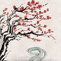 2022年Juni Snakers之间的人际关系方式分析