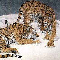 生活在老虎中的人民的命运是什么?老虎的生命是什么?