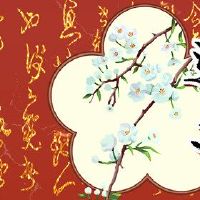 中国新年的特殊食物是什么?