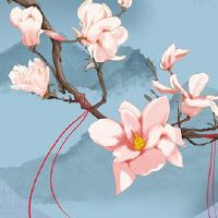 2022年本命年犯太岁吗 本命年属虎人注意事项