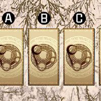 塔罗牌是一个测试,你能嫁给你,你能像你想的那么幸福吗?