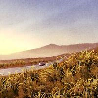 2022年4月的月历,吉义列表免费分享