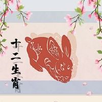 马和男性兔子婚姻比赛比赛吗?