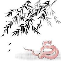 黄道带蛇男士2022财富如何拥有“优秀”姬兴秘密