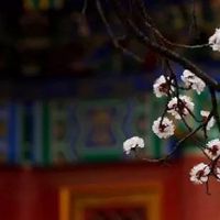 1988年属龙35岁后享福 35岁事业迎来巅峰