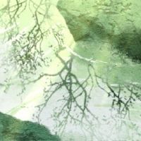 如何解决八克妻子妻子的男性八个特征