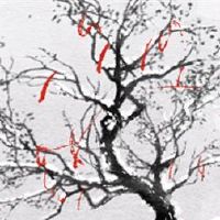 如何看看八个字符如何不会离婚?