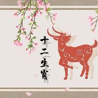 谁是2022年痛苦原因的原因?