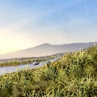 当新车是禁忌?新车要回家注意什么