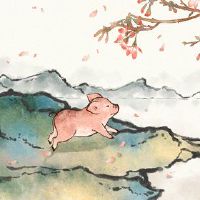 这是幸运数字,住房地板和猪人2023的方向。